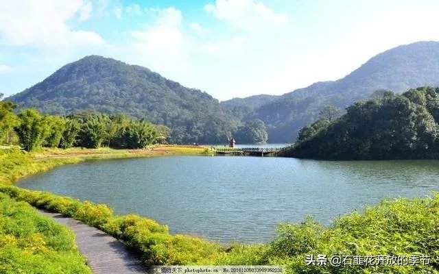 癌症晚期是独自离家出走留一份遗书不拖累家人，还是跟家人度过最后的日子？