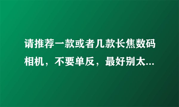请推荐一款或者几款长焦数码相机，不要单反，最好别太贵。谢谢了。