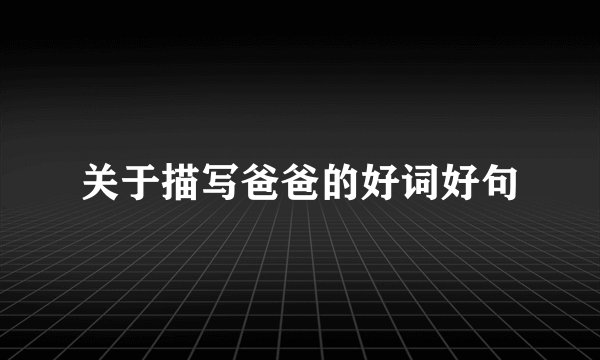 关于描写爸爸的好词好句