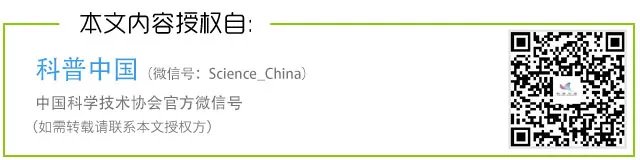 创记录！双胞胎相差97天出生…为什么间隔这么久？