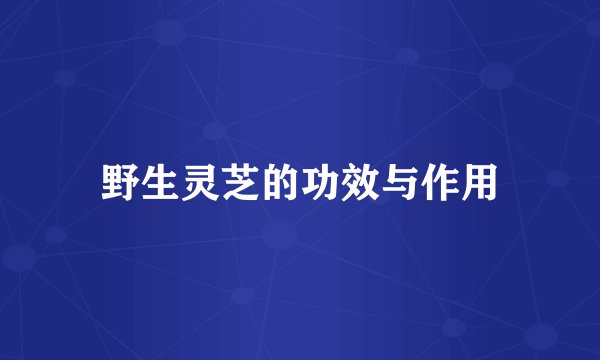 野生灵芝的功效与作用