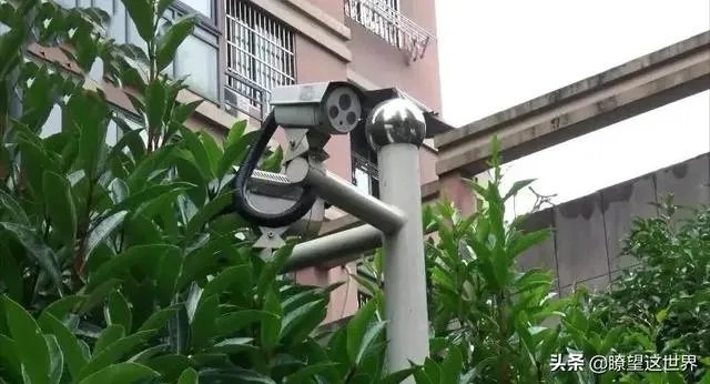 浙江杭州失踪来女士找到了吗？