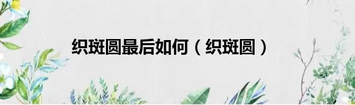 织斑圆最后如何（织斑圆）