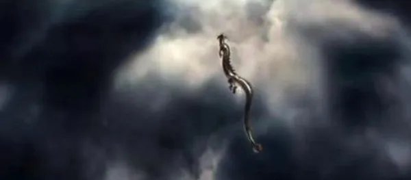 传说中蛟可化龙，那世界上真的有蛟这种生物吗？