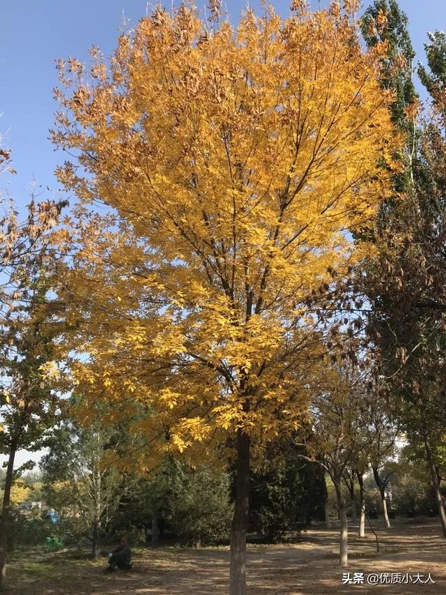刚看完skt和g2的比赛，感觉lpl已经凉了一半了，你怎么看