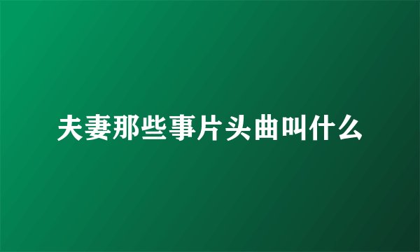 夫妻那些事片头曲叫什么