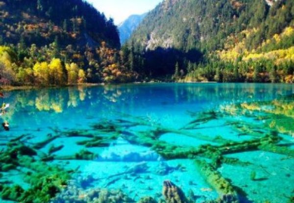 关于九寨沟火花海将恢复开放一事，你有何看法？