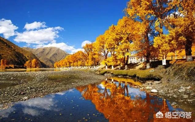 国内有哪些地方被誉为是“摄影人的天堂”？