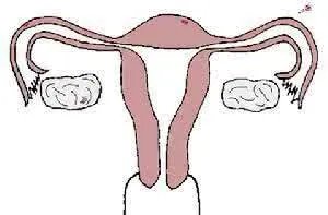 妇科症状需要治疗费用?