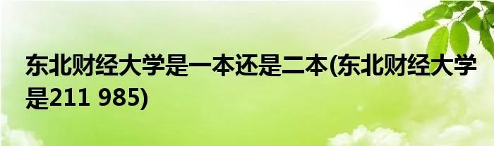 东北财经大学是一本还是二本(东北财经大学是211 985)