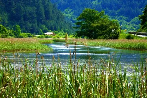 九寨沟旅游自助旅游全攻略