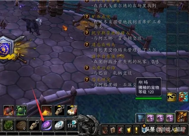 战斗宠物灵猫魔宠厉害吗