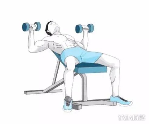 陈伟霆赴韩遭围堵张大佛爷肌肉照养眼