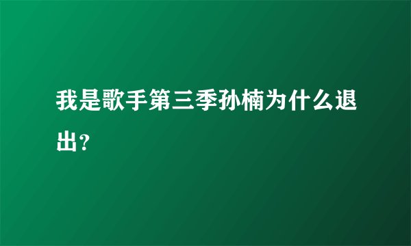 我是歌手第三季孙楠为什么退出？