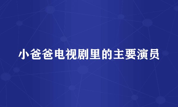 小爸爸电视剧里的主要演员