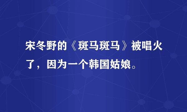 宋冬野的《斑马斑马》被唱火了，因为一个韩国姑娘。