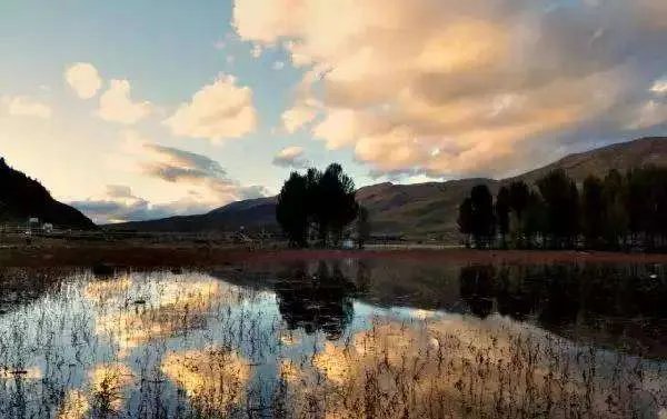 前往稻城亚丁的游客却被劝返，工作人员是如何回应的？