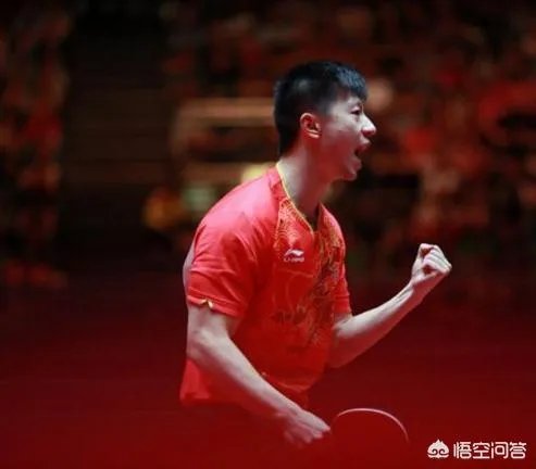 2019卡塔尔公开赛名单