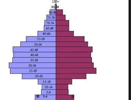 什么是人口百岁图？