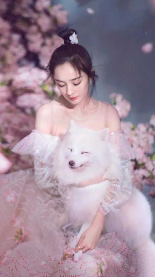 杨幂怒斥叫卖明星信息者，你怎么看？