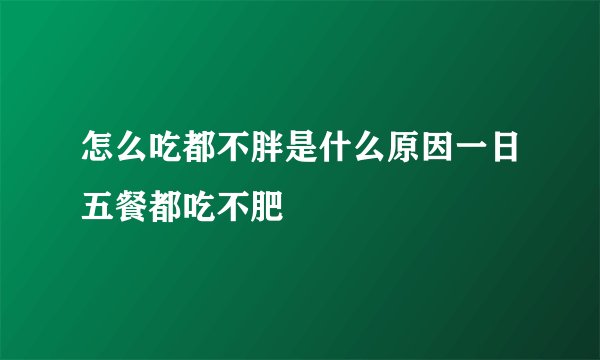 怎么吃都不胖是什么原因一日五餐都吃不肥