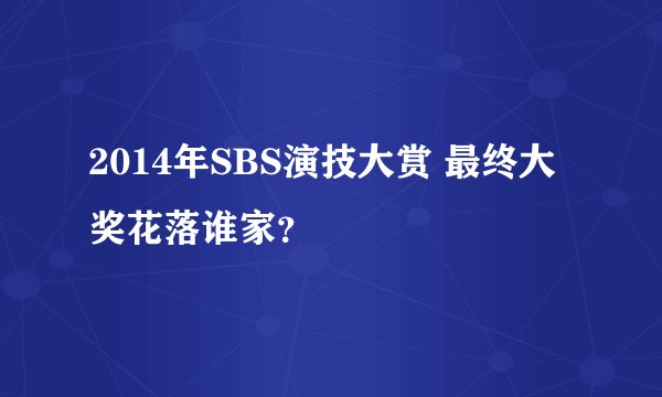 2014年SBS演技大赏 最终大奖花落谁家？