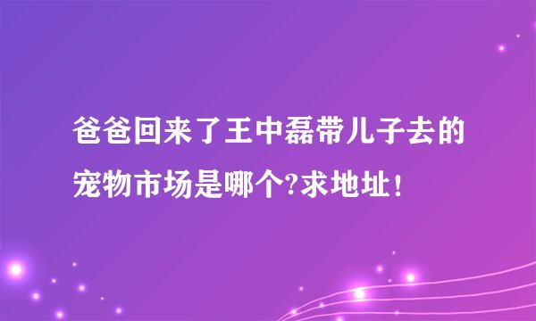 爸爸回来了王中磊带儿子去的宠物市场是哪个?求地址！