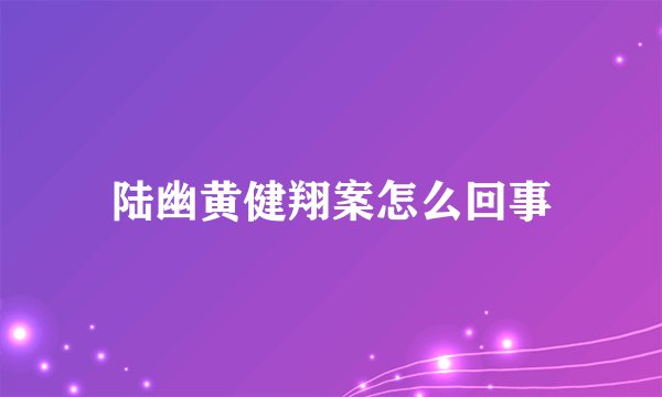 陆幽黄健翔案怎么回事
