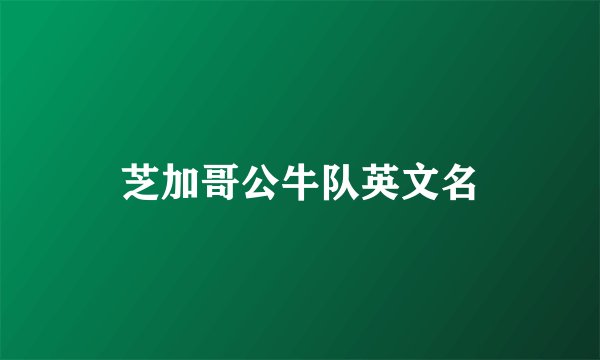 芝加哥公牛队英文名