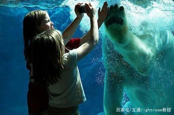 儿童摄影怎么拍摄，有什么拍摄技巧？