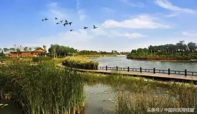 天津欢乐谷和北京欢乐谷哪个好玩？