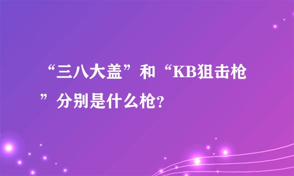 “三八大盖”和“KB狙击枪”分别是什么枪？