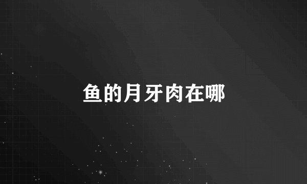 鱼的月牙肉在哪