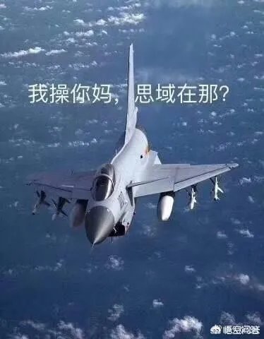 思域是个什么梗？