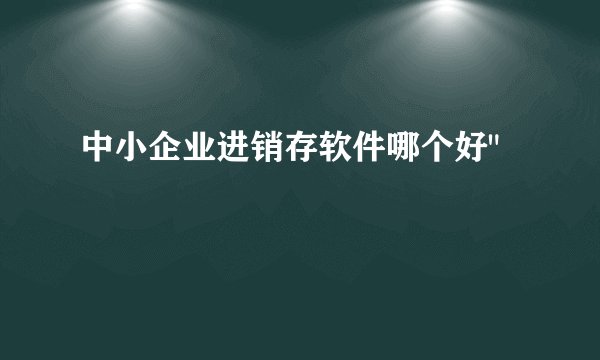 中小企业进销存软件哪个好