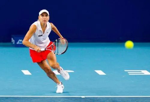 维斯尼娜的介绍