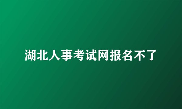 湖北人事考试网报名不了