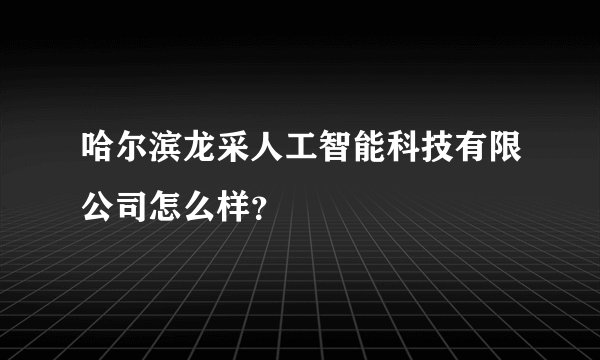 哈尔滨龙采人工智能科技有限公司怎么样？