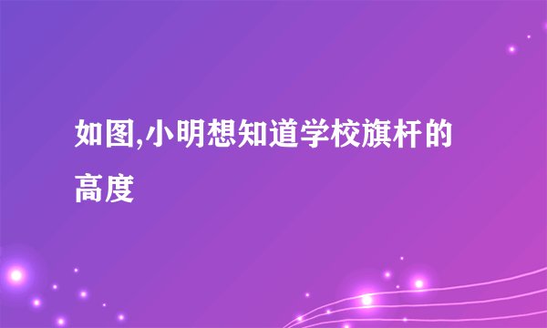 如图,小明想知道学校旗杆的高度