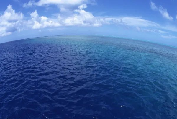 日本计划将核污水排入大海，他们这样做是无奈之举吗？