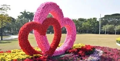 海上田园有什么好玩的，值得去吗？