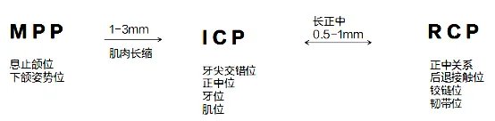 口腔医学专业知识考试资料网：三种基本颌位的关系