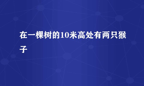 在一棵树的10米高处有两只猴子