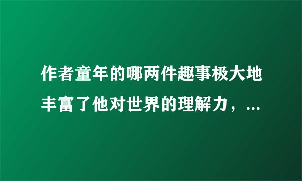 作者童年的哪两件趣事极大地丰富了他对世界的理解力，并且引导他走上成为一个理论物理学家的历程？