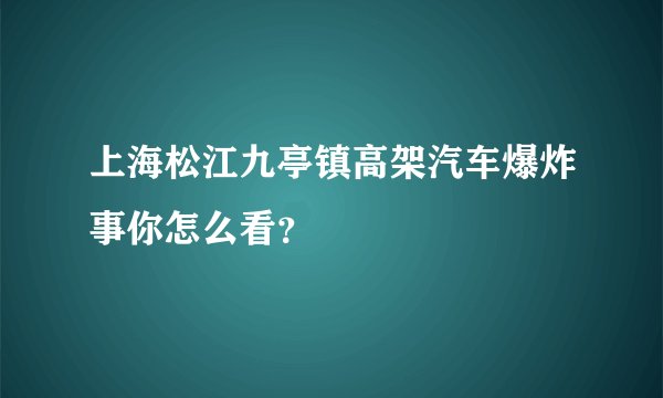 上海松江九亭镇高架汽车爆炸事你怎么看？