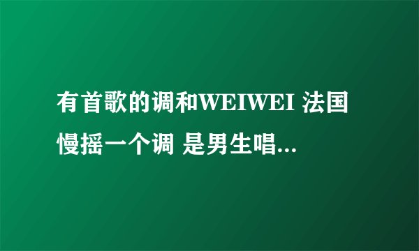 有首歌的调和WEIWEI 法国慢摇一个调 是男生唱的 中文版叫耍太极