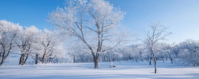 亚岁是什么节气 亚岁到底是什么节气