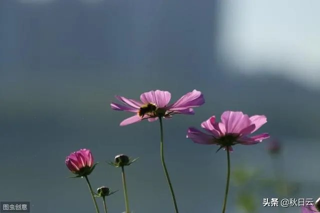 看到女孩抽烟，你的第一想法是什么？