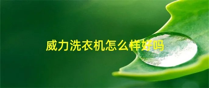 威力洗衣机怎么样好吗