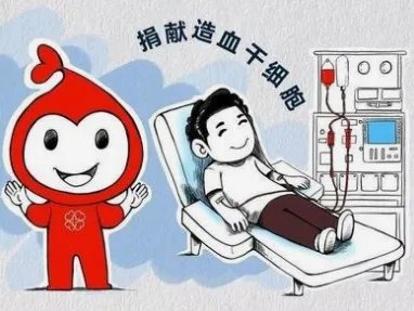 山东一男孩为给弟弟捐骨髓跑步增重，捐献骨髓需要符合哪些条件？